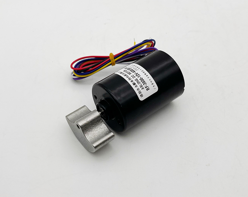 12v 4000rpm Motore Elettrico Brushless alta velocità BLDC 3650 OEM ODM